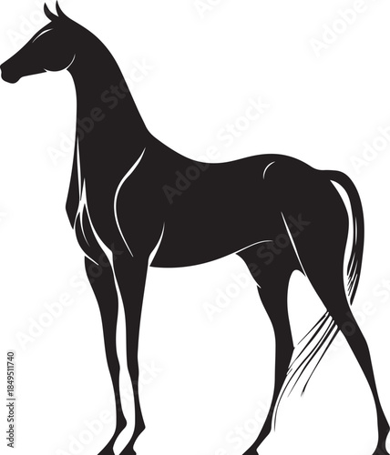 Akhal-Teke Horse Vector Silhouette Black Isolated on White Background