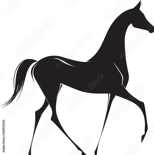 Akhal-Teke Horse Vector Silhouette Black Isolated on White Background