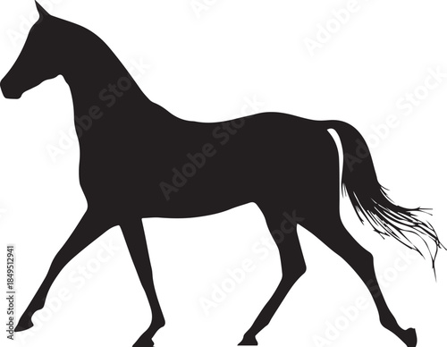 Akhal-Teke Horse Vector Silhouette Black Isolated on White Background