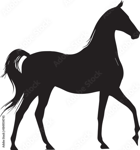 Akhal-Teke Horse Vector Silhouette Black Isolated on White Background