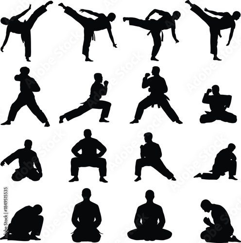 Martial arts silhouettes, judo and karate poses vector set