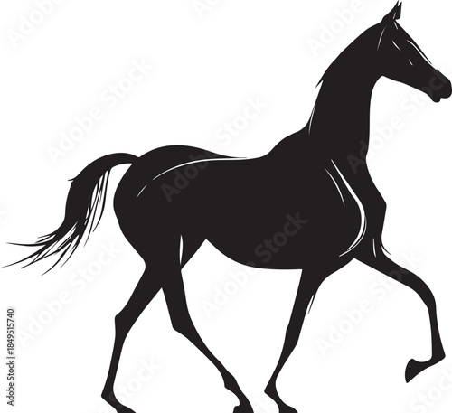 Akhal-Teke Horse Vector Silhouette Black Isolated on White Background