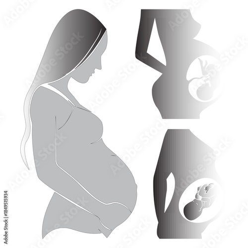 a pregnant woman with the fetus in the womb