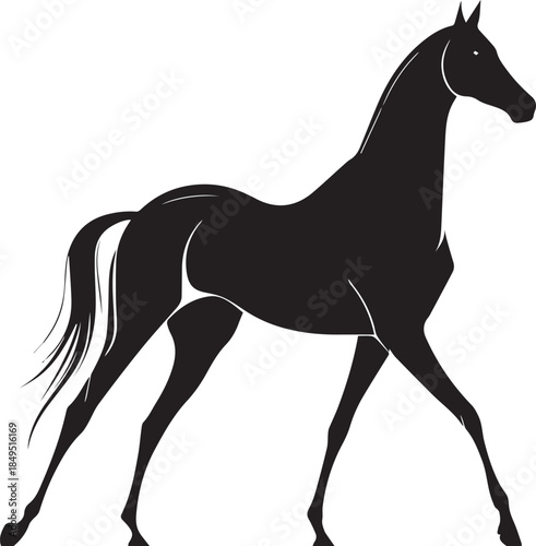 Akhal-Teke Horse Vector Silhouette Black Isolated on White Background