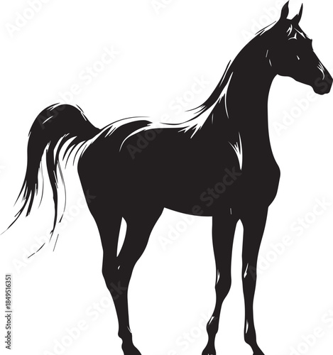 Akhal-Teke Horse Vector Silhouette Black Isolated on White Background
