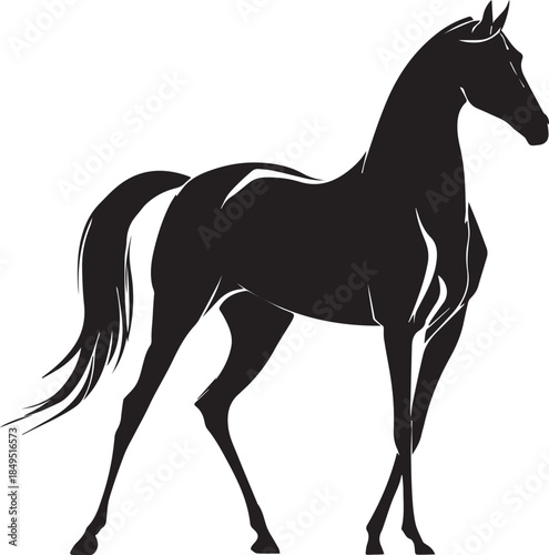 Akhal-Teke Horse Vector Silhouette Black Isolated on White Background
