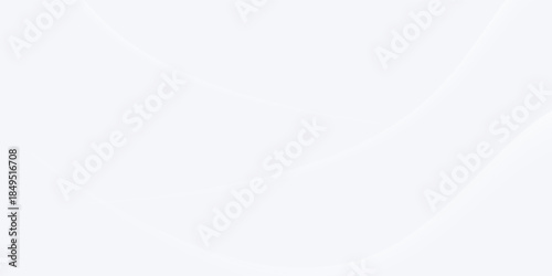 Abstract white and light gray background with smooth curved lines and soft gradient waves. Minimal and modern design ideal for presentations, websites, or branding.