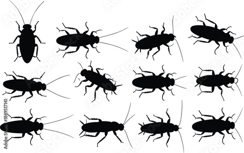 Cockroach silhouettes set, insect pest collection, crawling bug poses, entomology concept, black vector illustration isolated