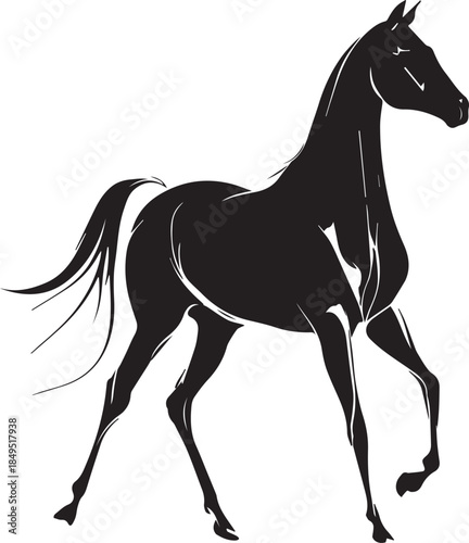 Akhal-Teke Horse Vector Silhouette Black Isolated on White Background