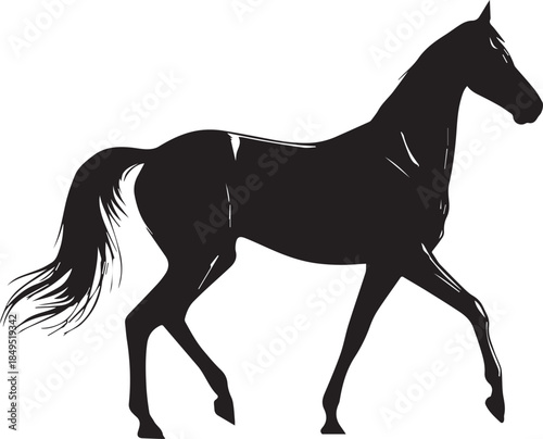 Akhal-Teke Horse Vector Silhouette Black Isolated on White Background