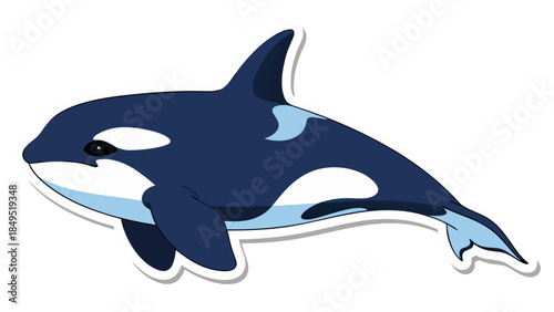 dolphin jumping isolated on white background