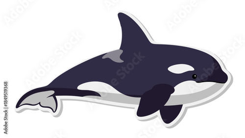 Cute Cartoon Orca Whale Illustration
