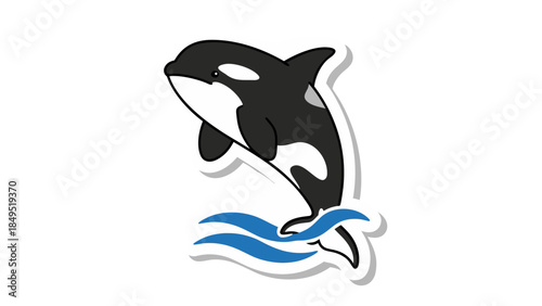 dolphin jumping out of water