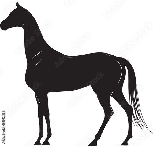 Akhal-Teke Horse Vector Silhouette Black Isolated on White Background