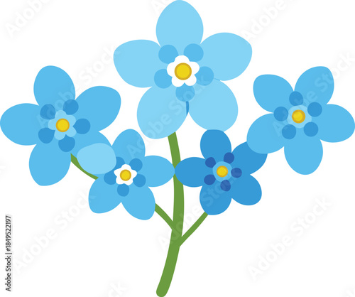Delicate blue forget me not flowers with yellow centers on white background