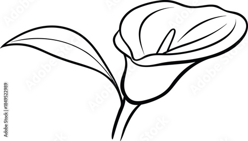 Simple black and white line drawing of a calla lily flower with a leaf