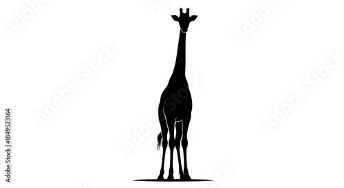 Giraffe Silhouette - A Striking Wildlife Image with a Minimalist Aesthetic.