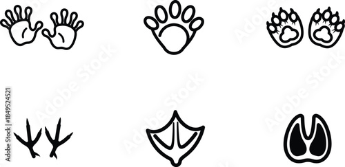 animal footprints and hooves in different shapes and sizes  various animal tracks