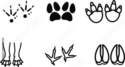 animal foot and paw prints in various styles and shapes  simple illustrations