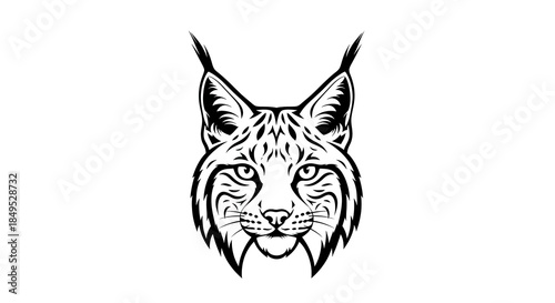 Intense Lynx Gaze - A Striking Black and White Portrait.