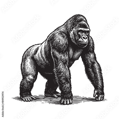 Italian Villa House Architecture Engraving