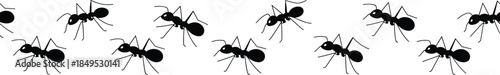 ant, ants, silhouette, insect, bug, wildlife, nature, pattern, background, minimal, black, vector, graphic
