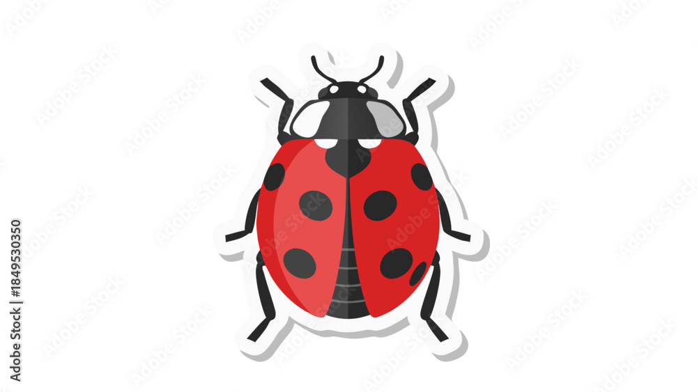 Obraz premium ladybug on white background