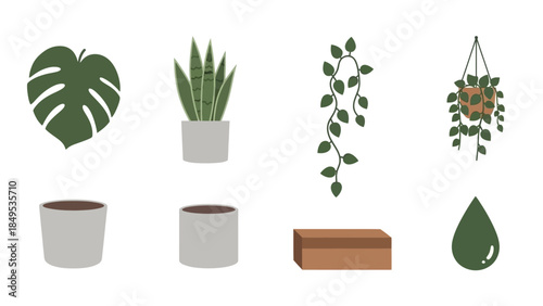 A collection of various house plants, pots, a wooden block, and a water drop on a white background.