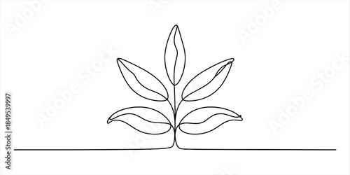 Continuous line drawing of a small plant with leaves growing from a single stem Vector, illustration