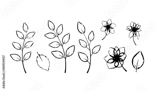 Transparent botanical illustration set with 3D glass effect nature vector design