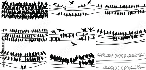 Silhouetted birds perched and flying across multiple power lines, forming a diverse seamless wildlife pattern for nature backgrounds, decorative artwork, illustration, and design use