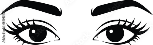 Vector Illustration of Female Eyes with Long Eyelashes and Defined Eyebrows