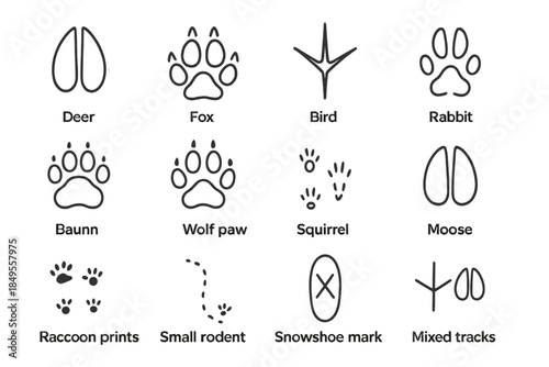 Winter Animal Tracks. Winter wildlife in snow – Tracks in Snow. Line outline icon set of Tracks in Snow: deer