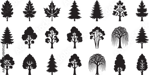 Set of Detailed Tree Silhouettes Black Forest and Garden Tree Icons Pine Maple and Willow Vector Illustrations for Landscape Design