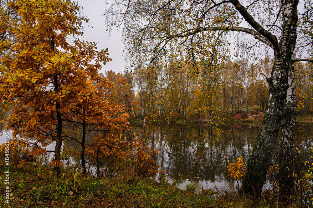 Obraz premium Autumn landscape with colorful trees reflected in water. Seasonal fall scenery with yellow and orange foliage by lake. Nature background for tranquil moment.