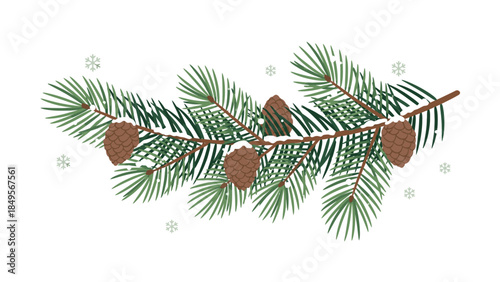Illustration of a pine branch with cones and snowflakes on a white background, conveying a winter or Desember seasonal theme with green and brown tones.