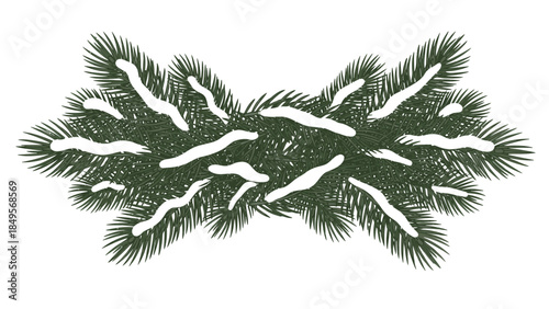 Snow-covered pine branches on a white background, with a minimalist composition and a calm, wintry mood.