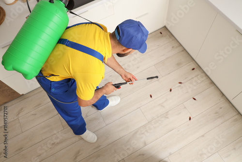 Male pest control specialist carrying out cockroach disinfection in kitchen, ...