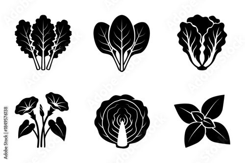 Collection of stylized illustrations featuring different vegetables. Each illustration is rendered in a clean, graphic style, emphasizing their distinct shapes and forms.