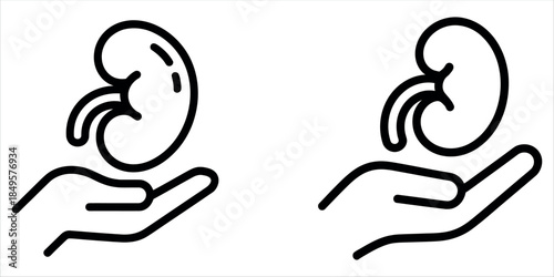 Kidney donation concept with hands holding organs vector.
