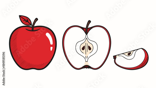 Vibrant Red Apple Vector Illustration Whole, Half-Cut with Core, and Crisp Slice for Healthy Food & Nutrition Designs
