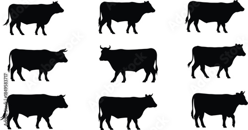cow, silhouette, profile, animal, livestock, farm, posture, horn, tail, black, vector, illustration, breed, cattle, rural, agriculture, grazing, domestic, mammal, shape