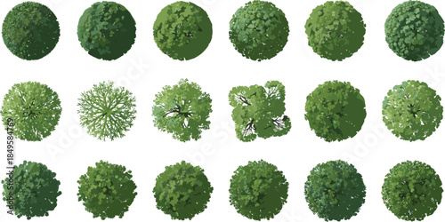 Stylized aerial tree canopy set, top view forest crowns, varied shapes and textures, isolated on white background for landscape design, mapping, ecology, and visuals