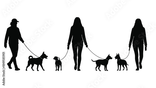 Silhouettes of three people walking various dogs on leashes outdoors creating a scene of pet care and companionship