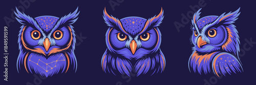 Mystical owl collection with celestial constellation patterns and starry eyes featuring majestic nocturnal birds in vibrant purple and orange colors for mythological and fantasy design projects