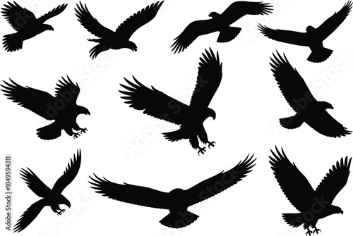 Flying eagle silhouettes collection, birds of prey in flight, black hawk falcon shapes, wildlife animal vector isolated on white