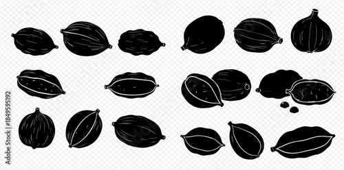 Black silhouette set of various cardamom pods and seeds on a transparent background.