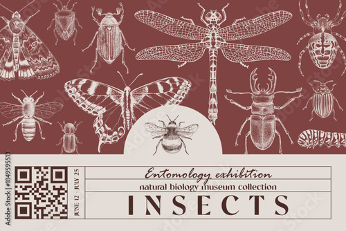 Natural biology banner with insects