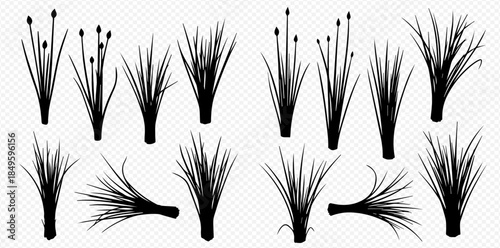 Set of various black silhouettes of grass and reeds, isolated on a transparent background.