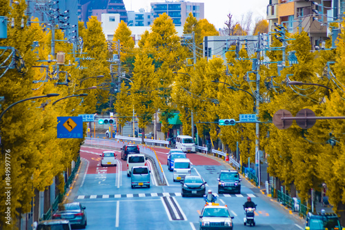 A cityscape of traffic jam at the yellow gingko street in Tokyo telephoto shot